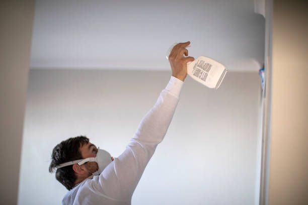 Best Crawl Space Mold Removal  in Natchez, MS
